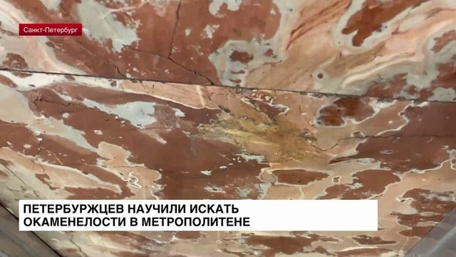 Петербуржцев научили искать окаменелости в метрополитене