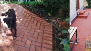 Клинкерная брусчатка ЛСР