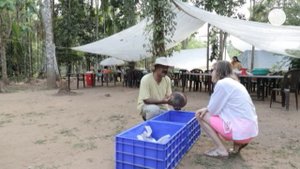 Керала: время древности, время настоящее - lemag