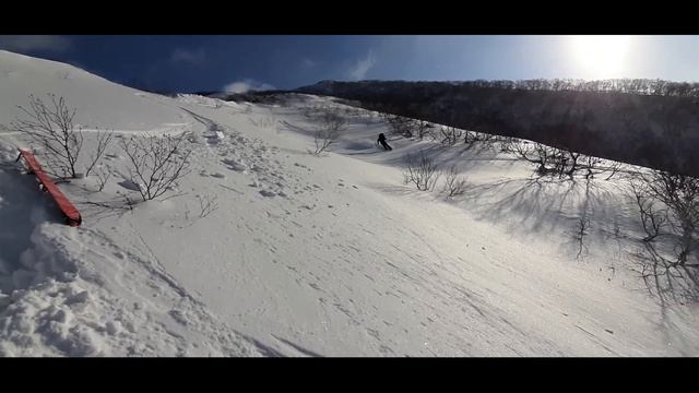 ШРЕКИ смотреть онлайн