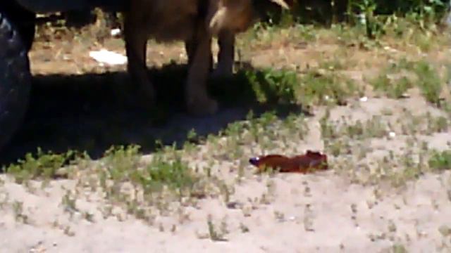 Волгодонск смотреть онлайн