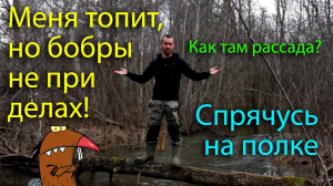 Меня топит, но не из-за бобров. Организовываю пространство в домике.