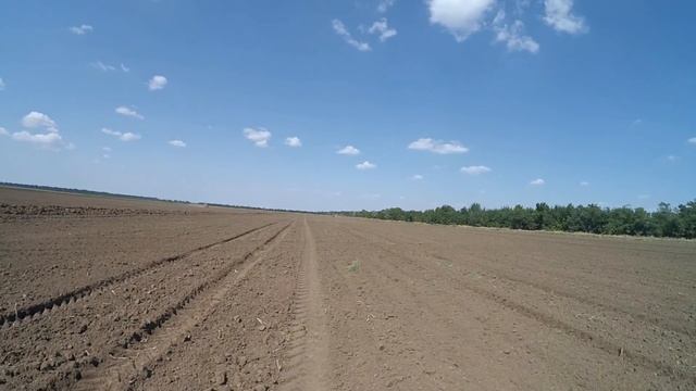 Подготовка почвы и посев рапса на орошаемых землях