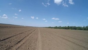 Подготовка почвы и посев рапса на орошаемых землях