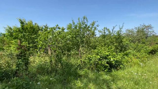 Продаю земельный участок в Сочи. Мультиссылка на координаты https://seeyour.info/_GN_ смотреть онлайн