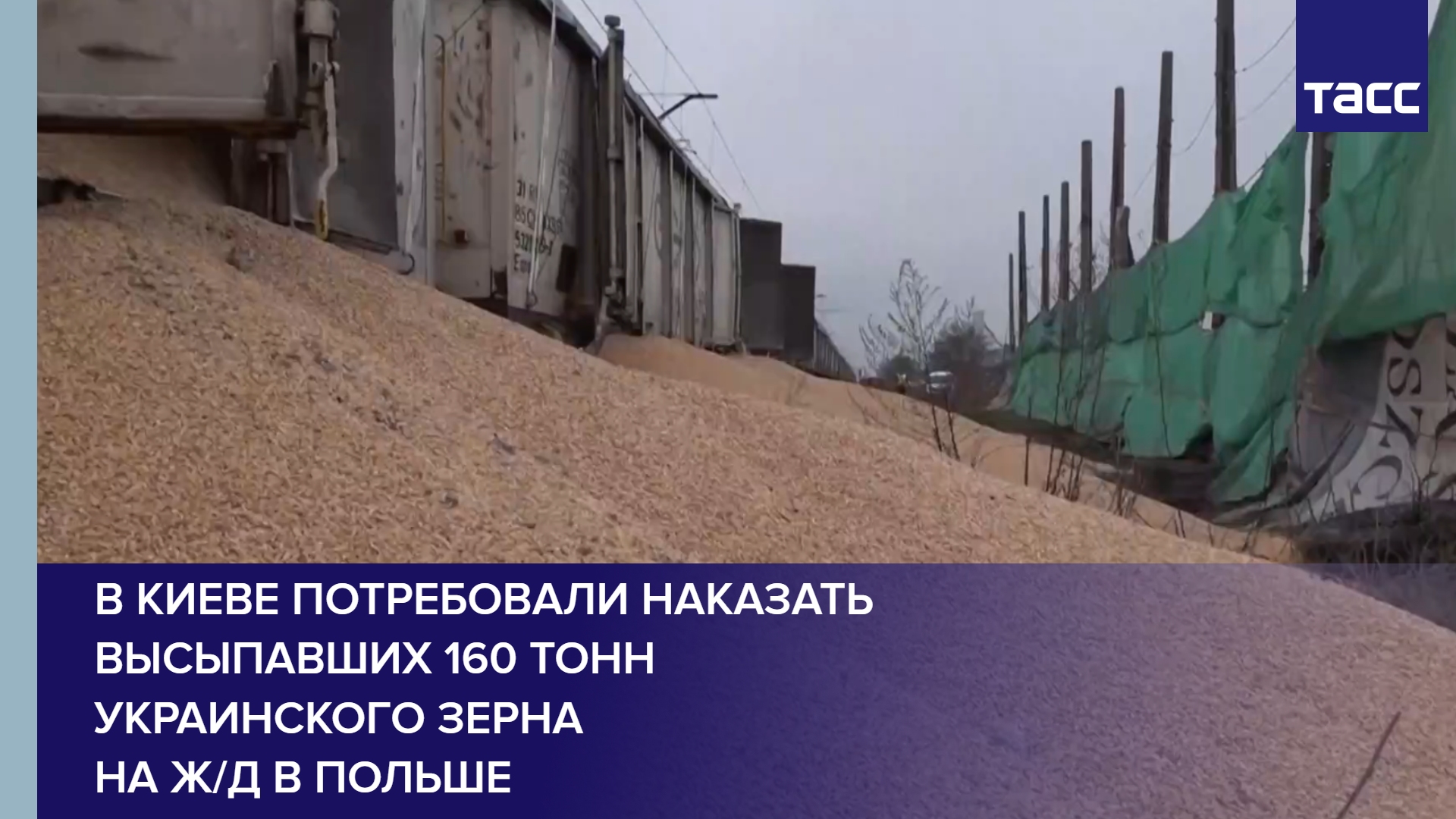 В Киеве потребовали наказать высыпавших 160 тонн украинского зерна на ж/д в Польше #shorts