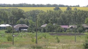 С сентября вступят изменения в закон о пчеловодстве