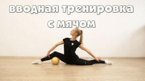 Художественная гимнастика - вводная тренировка с мячом