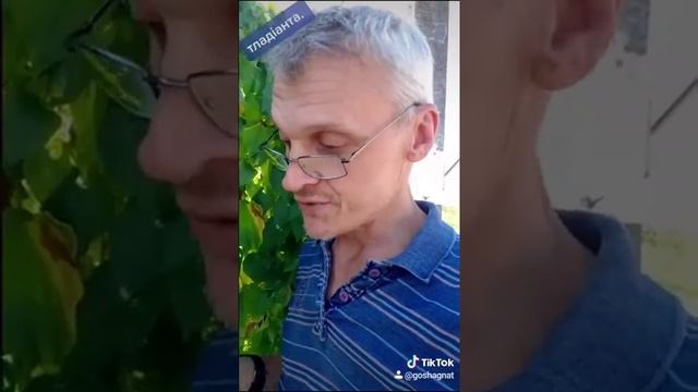 Fruits exotic me. Тладіанта, далекосхідний огірок. (тладианта) огурец дальневосточный.