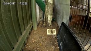 Током ударило 220В