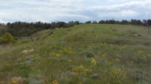 24.05.2017 Взгляд от Керченской крепости на строительсво Крымского моста