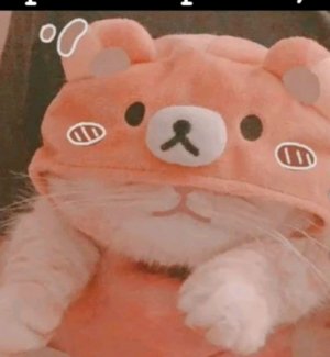 алиса куроми