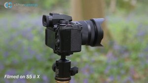 Panasonic LUMIX S5 II X // Pros for this pro camera