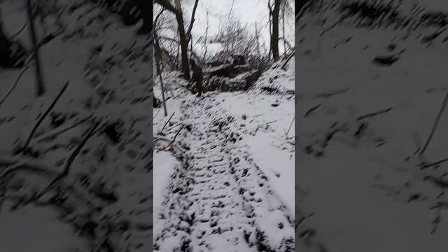 жизнь продолжается