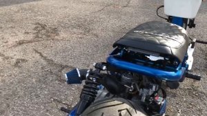 Custom Honda Ruckus