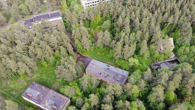 Дом отдыха Березка смотреть онлайн