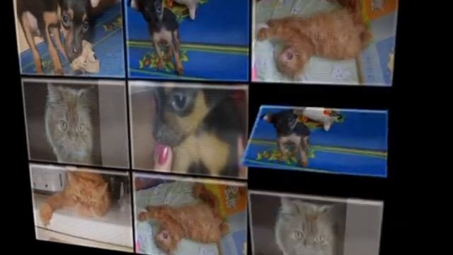 Разгром домика котом и той-терьером... смотреть онлайн