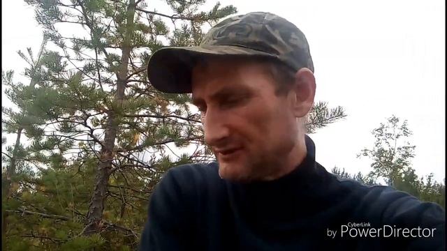 Синявинские болота, Брусничный рай смотреть онлайн