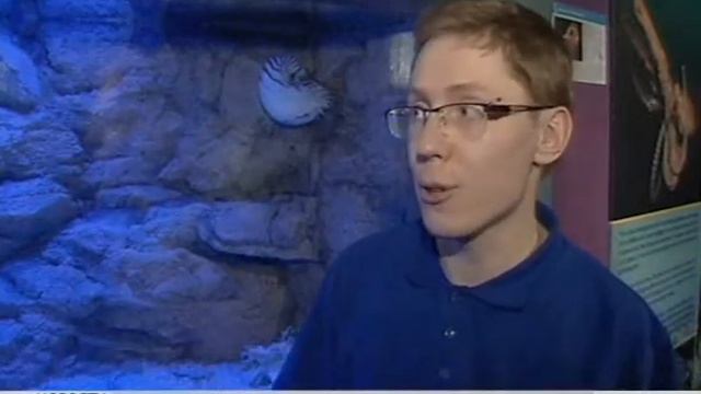 Головоногии смотреть онлайн