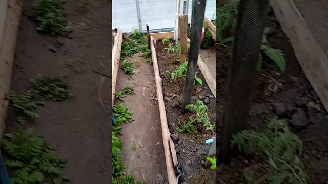 Обзор теплицы смотреть онлайн