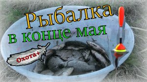 Рыбалка на карася в конце мая. Карась на поплавок клевал как бешенный