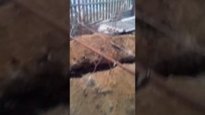 как выкопать траншею для подвода воды к дому !