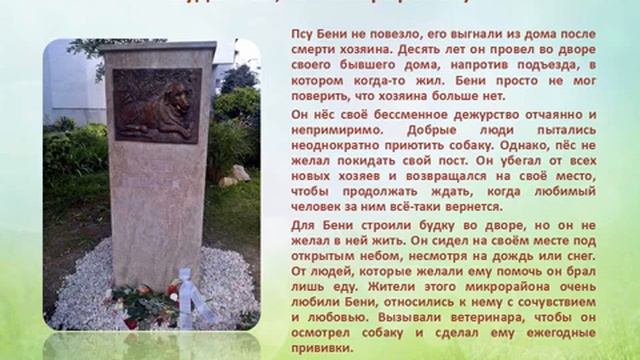 За верность и преданность смотреть онлайн