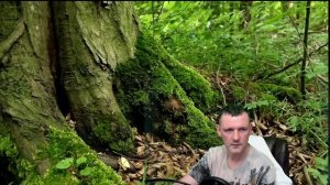 Матрица Вечности 5 Часов Исцеляющей, Восстанавливающей, Заживляющей Душу и Тело Медитации Гаряева.