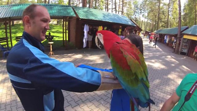 АЛТАЙ - БИРЮЗОВАЯ КАТУНЬ. ТАВДИНСКИЕ ПЕЩЕРЫ. ПАСЕКА МЕДОМВУХО. ВОДОПАД