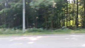 Поездка на автобусе Лотос - 105 маршрут № 379 регистрационный номер Е062ММ790