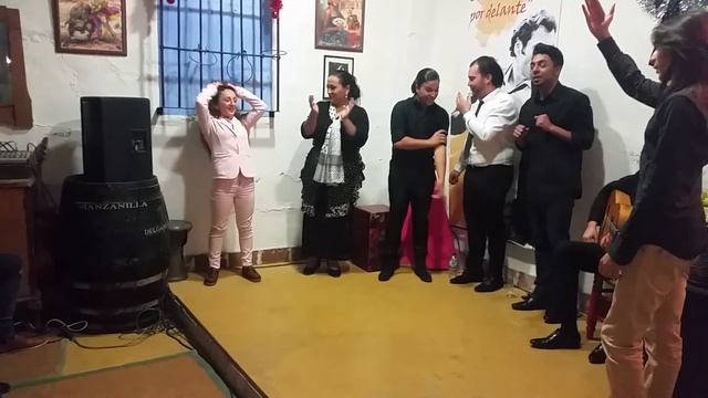 Un mismo sentir.
Flamenco del bueno(3) смотреть онлайн