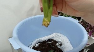 Эксперт с цветком женское счастье☺✨)))