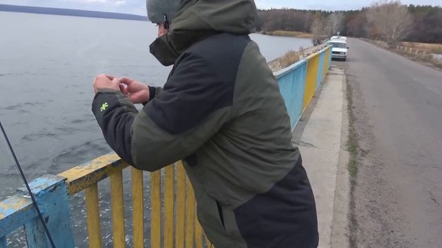 Мужики офигели от способа! РЫБАЛКА на ЖИВЦА и ЗУБНУЮ ПАСТУ 100% АКТИВАТОР КЛЁВА смотреть онлайн