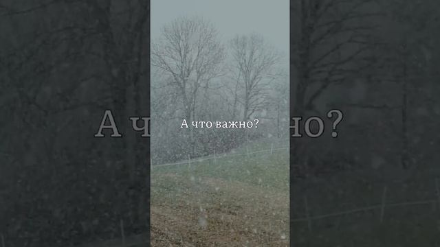 Холодает, скоро зима … | Ринат Валиуллин «Все ее удовольствия» | лучшие цитаты