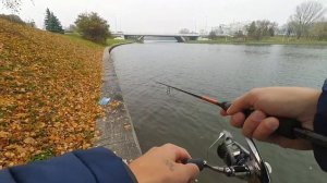 Что может спиннинг для джига. Впечатлил! Maximus Gravity 23 ML.