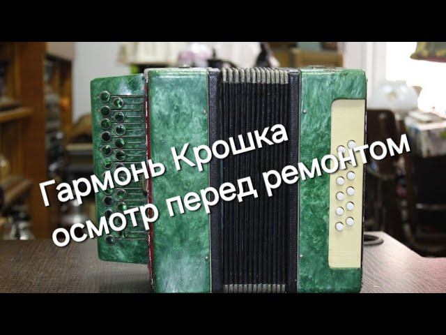 Гармонь детская Крошка . Осмотр. смотреть онлайн