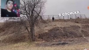 реакция на аликондру сосисондру 2