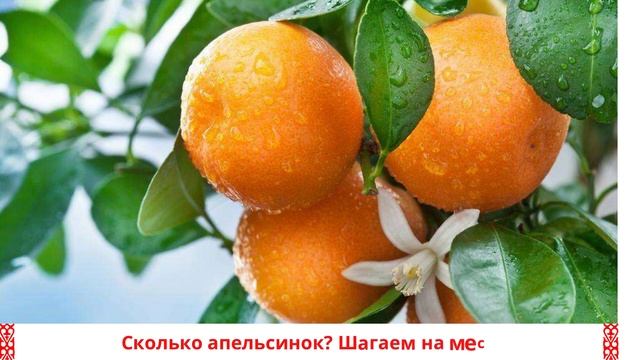 Математическая зарядка смотреть онлайн