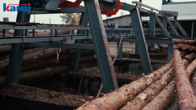 Обзор работы автоматической Линии сортировки бревен KRAFTER LLS LIGHT | Как повысить эффективность смотреть онлайн