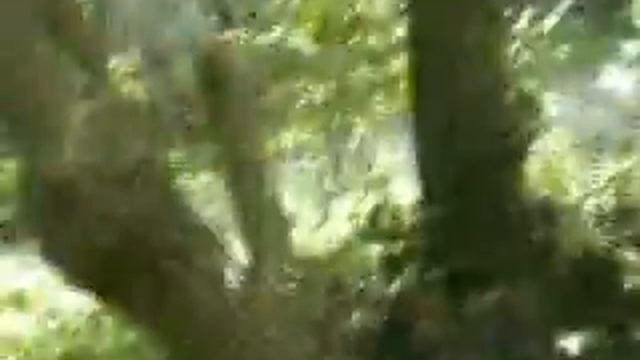 bapteme sam смотреть онлайн