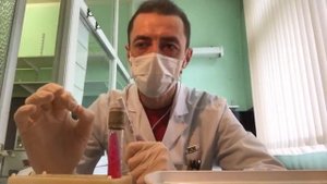 Как распознать бактерии рода Shigella (шигелла). Подробный лабораторный обзор (2020).