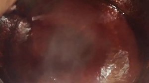 ЖЕЛЕ ИЗ СЛИВ//по рецепту любимого канала