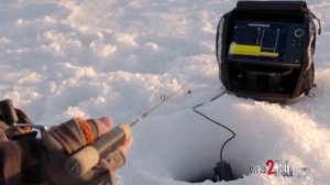 Ice Fishing Walleye With Glow Spoons