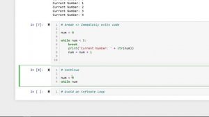 Python While Loops | Python Bootcamp: Lesson 07