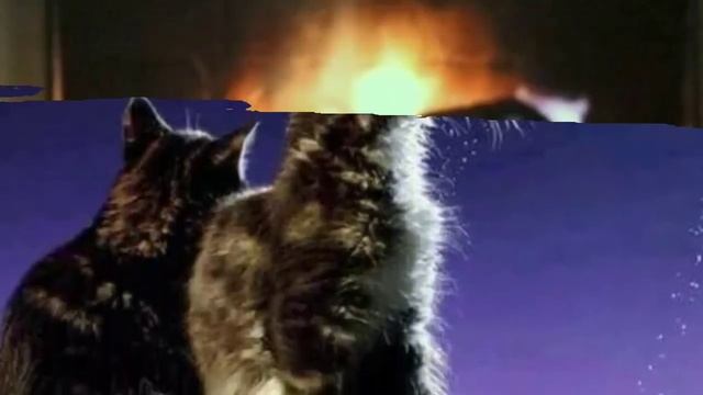 ДОБРЫЙ ВЕЧЕР ?! САМЫЕ КРАСИВЫЕ И ТЕПЛЫЕ ПОЖЕЛАНИЯ ДОБРОГО ВЕЧЕРА!  ? С ДОБРЫМ ВЕЧЕРОМ !