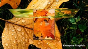 Красивая мелодия осени.  Красивое видео