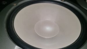 Yamaha NS-6490 woofer flex