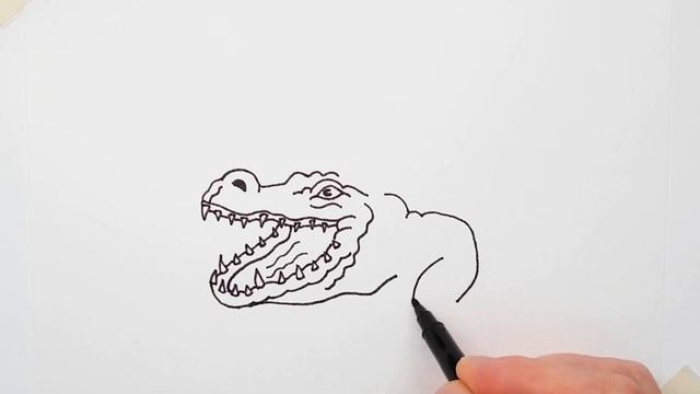 Drawing of a crocodile - How to draw a crocodile step by step | Learn to draw animals смотреть онлайн