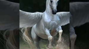 Лететь куда то в даль