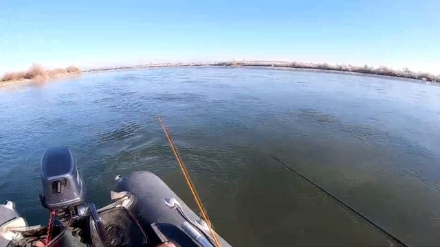 МОРОЗНАЯ НО КЛЁВАЯ РЫБАЛКА. осенний жерех, река или.